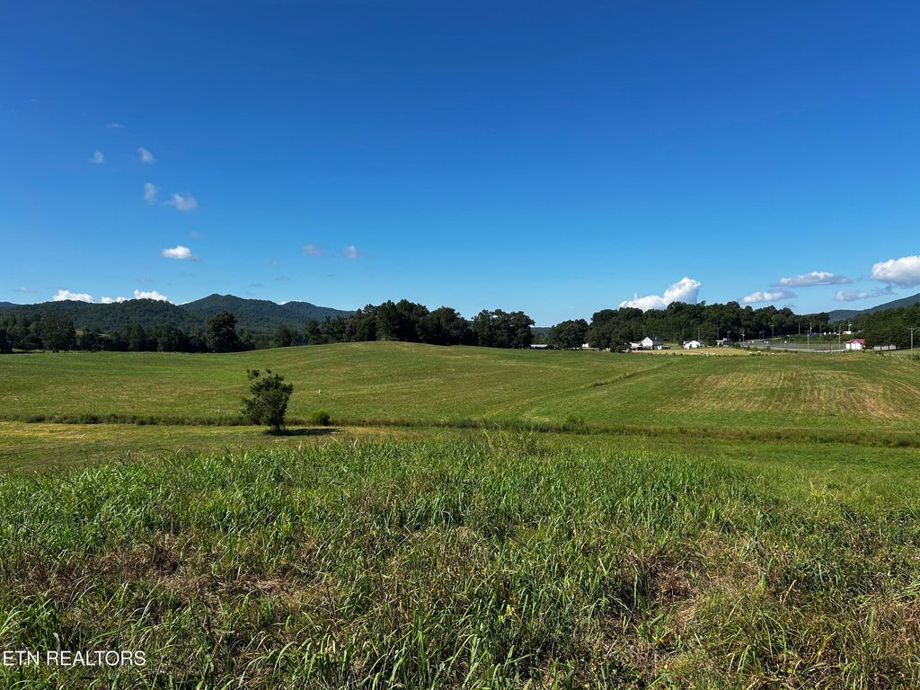 Photo of 4 Reliance Rd, Tellico Plains, TN 37385 (MLS # 1309888)