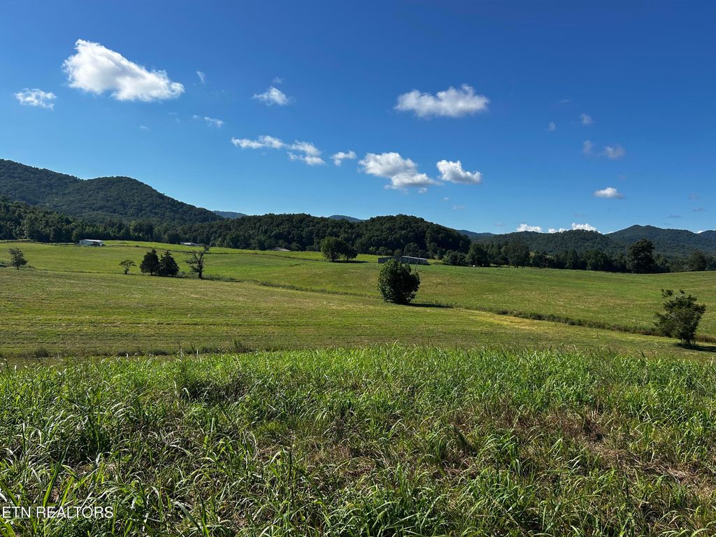 Photo of 4 Reliance Rd, Tellico Plains, TN 37385 (MLS # 1309888)