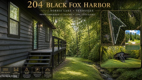 Photo of 204 Black Fox Harbor Rd, Washburn, TN 37888 (MLS # 1346430)
