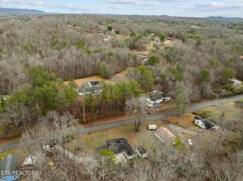 Tiny photo for 307 Tarwater St, Rockwood, TN 37854 (MLS # 1330230)