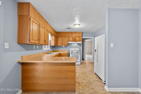 Tiny photo for 307 Tarwater St, Rockwood, TN 37854 (MLS # 1330230)