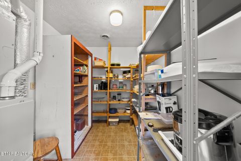 Tiny photo for 307 Tarwater St, Rockwood, TN 37854 (MLS # 1330230)