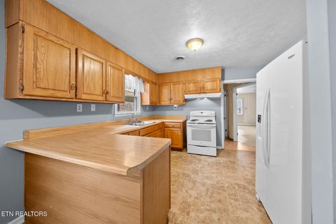 Tiny photo for 307 Tarwater St, Rockwood, TN 37854 (MLS # 1330230)