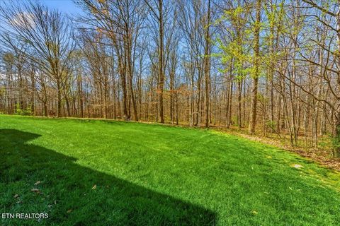 Tiny photo for 213 Andorra Lane, Clinton, TN 37716 (MLS # 1334137)