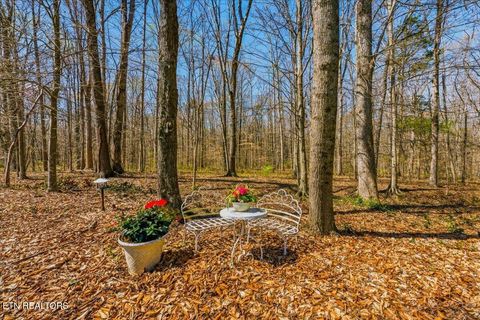 Tiny photo for 213 Andorra Lane, Clinton, TN 37716 (MLS # 1334137)