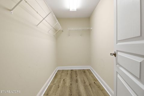 Tiny photo for 1026 Spy Glass Way, Knoxville, TN 37922 (MLS # 1329472)