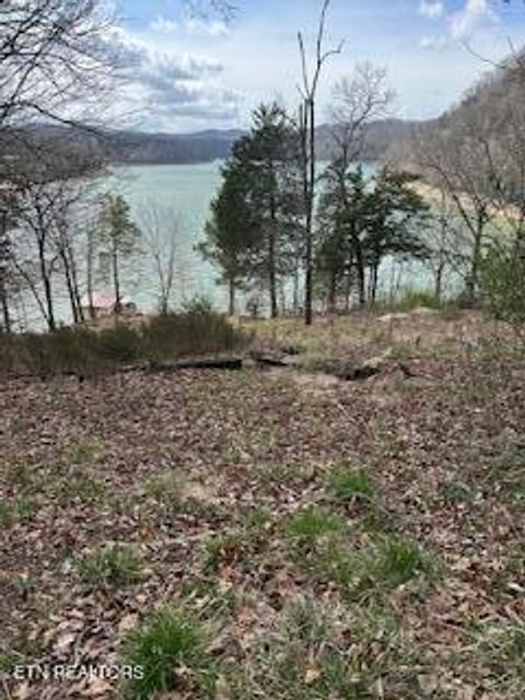 Tiny photo for TBD Lake Hollow Rd, Speedwell, TN 37870 (MLS # 1332281)