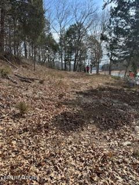 Tiny photo for TBD Lake Hollow Rd, Speedwell, TN 37870 (MLS # 1332281)