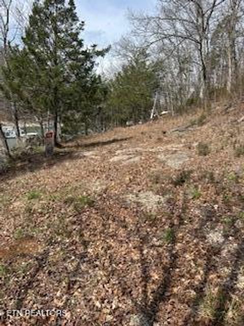 Tiny photo for TBD Lake Hollow Rd, Speedwell, TN 37870 (MLS # 1332281)