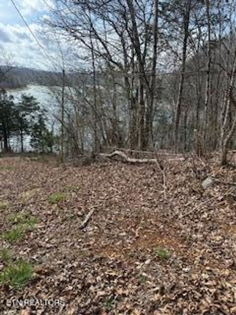 Tiny photo for TBD Lake Hollow Rd, Speedwell, TN 37870 (MLS # 1332281)