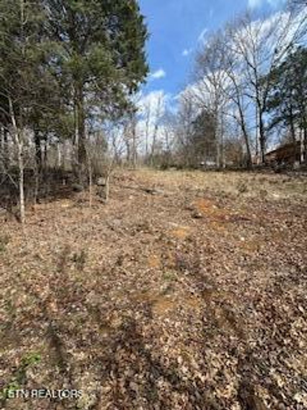 Photo of TBD Lake Hollow Rd, Speedwell, TN 37870 (MLS # 1332281)
