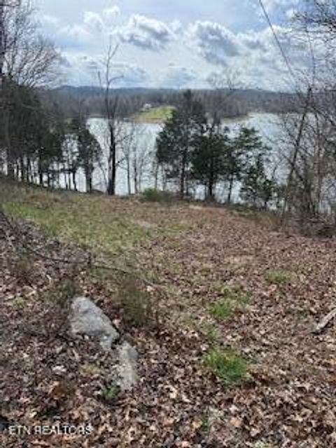 Tiny photo for TBD Lake Hollow Rd, Speedwell, TN 37870 (MLS # 1332281)