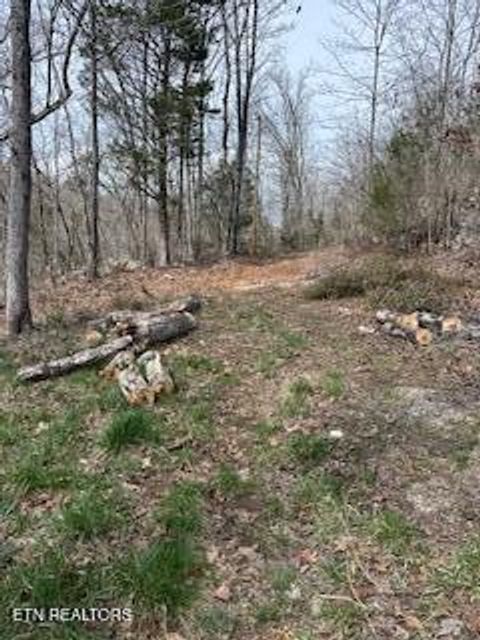 Tiny photo for TBD Lake Hollow Rd, Speedwell, TN 37870 (MLS # 1332281)