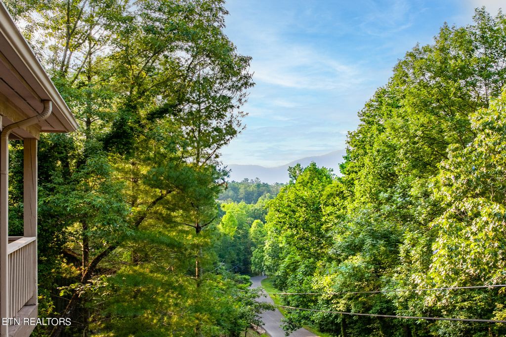 Photo of 530 Nathans Nook Rd, Townsend, TN 37882 (MLS # 1251462)