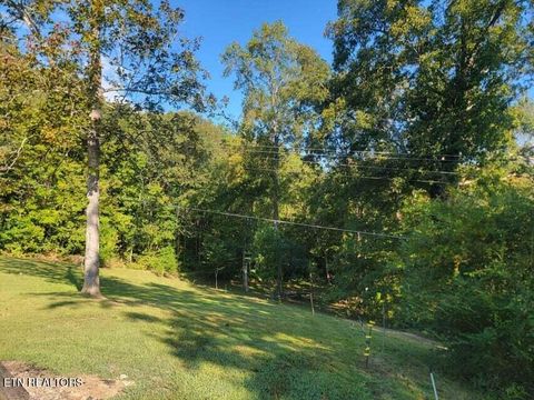Tiny photo for 2285 Euchee Chapel Rd, Spring City, TN 37381 (MLS # 1315012)