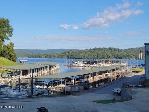 Tiny photo for 2285 Euchee Chapel Rd, Spring City, TN 37381 (MLS # 1315012)