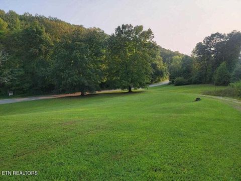 Tiny photo for 2285 Euchee Chapel Rd, Spring City, TN 37381 (MLS # 1315012)