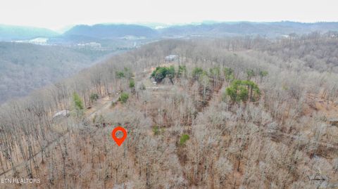 Tiny photo for Meandering Circle, Maynardville, TN 37807 (MLS # 1331692)