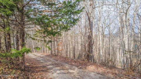 Tiny photo for Meandering Circle, Maynardville, TN 37807 (MLS # 1331692)