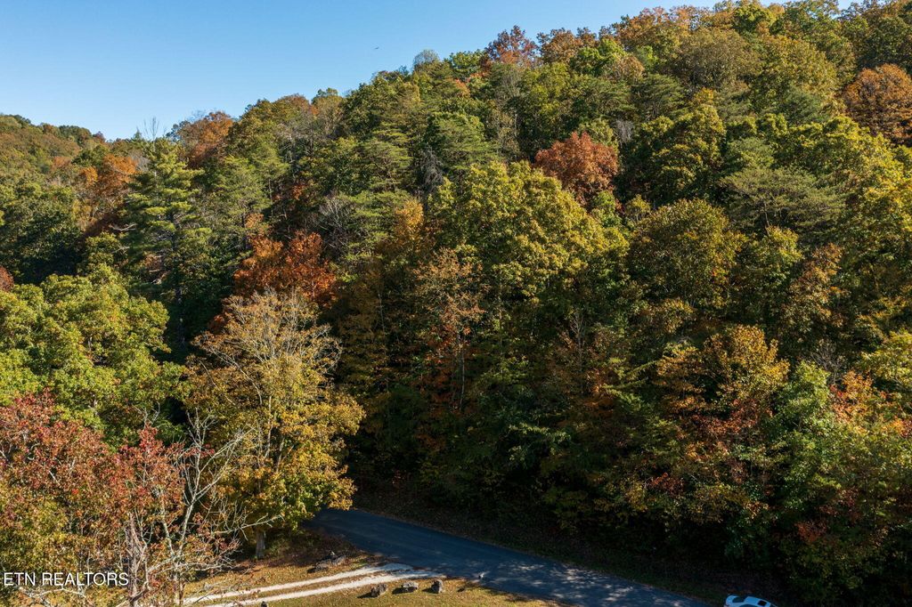 Photo of Strong Hollow Lane, Rocky Top, TN 37769 (MLS # 1319980)