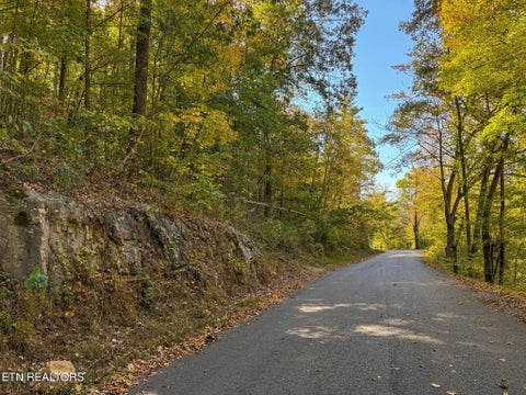 Tiny photo for Strong Hollow Lane, Rocky Top, TN 37769 (MLS # 1319980)