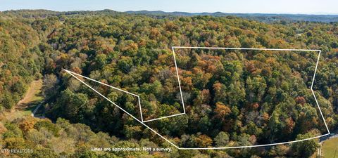 Photo of Strong Hollow Lane, Rocky Top, TN 37769 (MLS # 1319980)