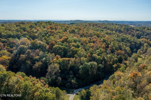 Tiny photo for Strong Hollow Lane, Rocky Top, TN 37769 (MLS # 1319980)