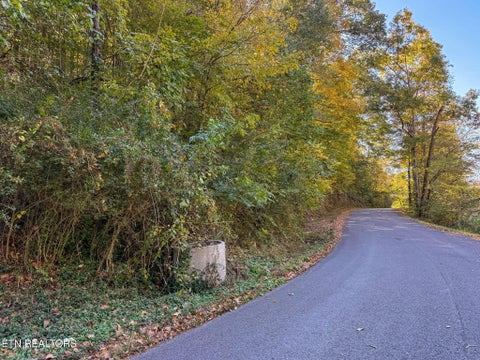 Tiny photo for Strong Hollow Lane, Rocky Top, TN 37769 (MLS # 1319980)