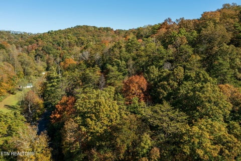 Tiny photo for Strong Hollow Lane, Rocky Top, TN 37769 (MLS # 1319980)