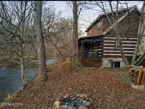 Tiny photo for 27412743 Cosby Hwy Hwy, Cosby, TN 37722 (MLS # 1324500)