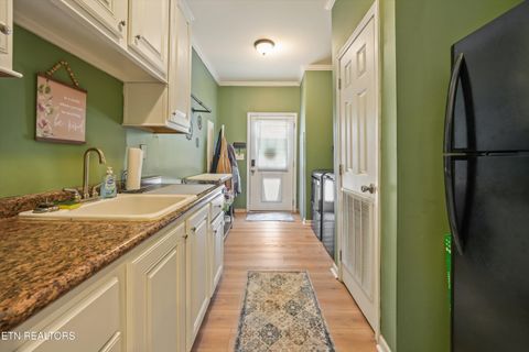 Tiny photo for 598 Huff Bend Lane, Ten Mile, TN 37880 (MLS # 1339884)