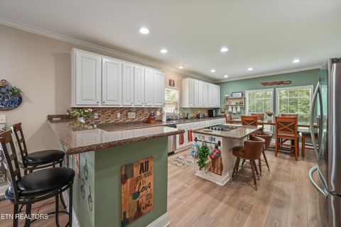 Tiny photo for 598 Huff Bend Lane, Ten Mile, TN 37880 (MLS # 1339884)