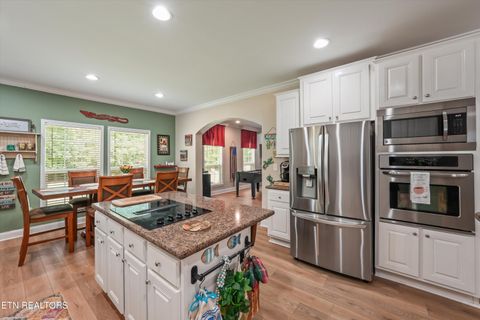 Tiny photo for 598 Huff Bend Lane, Ten Mile, TN 37880 (MLS # 1339884)