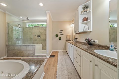 Tiny photo for 598 Huff Bend Lane, Ten Mile, TN 37880 (MLS # 1339884)
