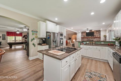 Tiny photo for 598 Huff Bend Lane, Ten Mile, TN 37880 (MLS # 1339884)