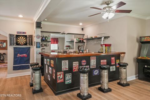 Tiny photo for 598 Huff Bend Lane, Ten Mile, TN 37880 (MLS # 1339884)