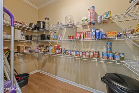 Tiny photo for 598 Huff Bend Lane, Ten Mile, TN 37880 (MLS # 1339884)