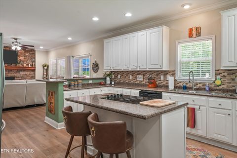Tiny photo for 598 Huff Bend Lane, Ten Mile, TN 37880 (MLS # 1339884)