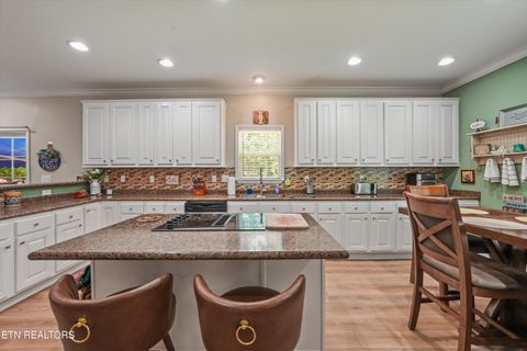 Tiny photo for 598 Huff Bend Lane, Ten Mile, TN 37880 (MLS # 1339884)