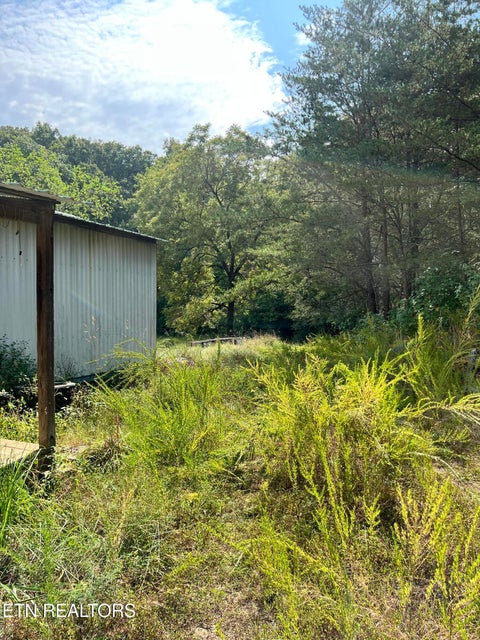 Tiny photo for 3525 Campground Rd, Sunbright, TN 37872 (MLS # 1356147)