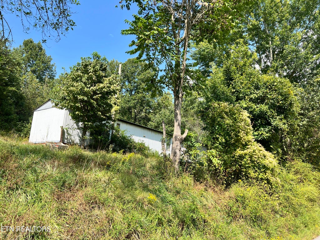Photo of 3525 Campground Rd, Sunbright, TN 37872 (MLS # 1356147)