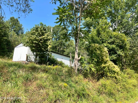 Tiny photo for 3525 Campground Rd, Sunbright, TN 37872 (MLS # 1356147)