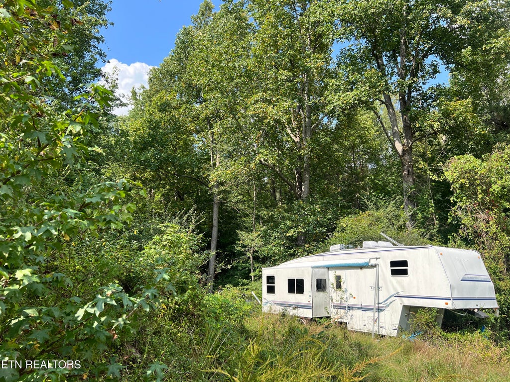 Photo of 3525 Campground Rd, Sunbright, TN 37872 (MLS # 1356147)