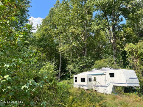 Tiny photo for 3525 Campground Rd, Sunbright, TN 37872 (MLS # 1356147)