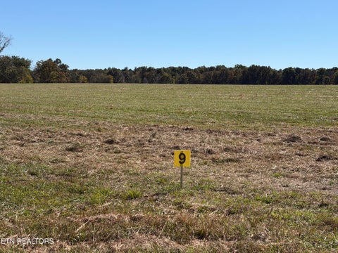 Tiny photo for Poke Patch Rd, Crossville, TN 38572 (MLS # 1359982)