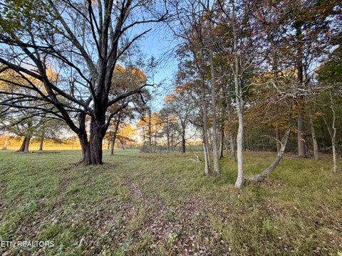 Tiny photo for Poke Patch Rd, Crossville, TN 38572 (MLS # 1359982)