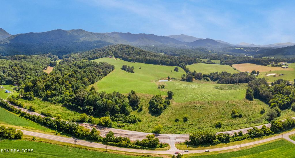 Photo of Lot 5 Pig Trot Rd, Newport, TN 37821 (MLS # 1312865)