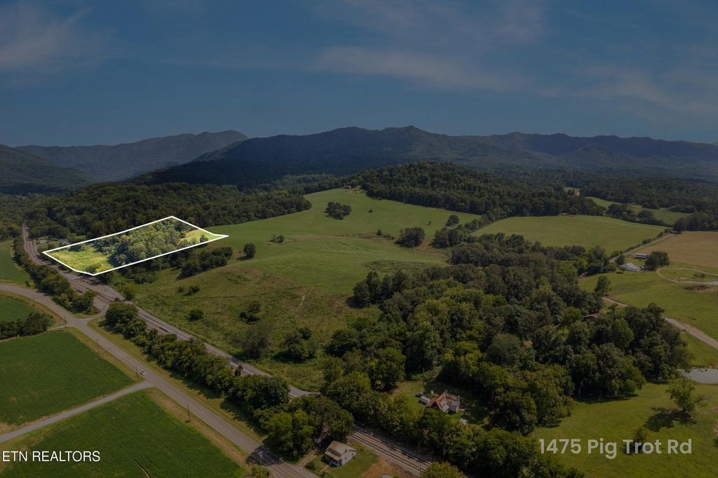 Photo of Lot 5 Pig Trot Rd, Newport, TN 37821 (MLS # 1312865)