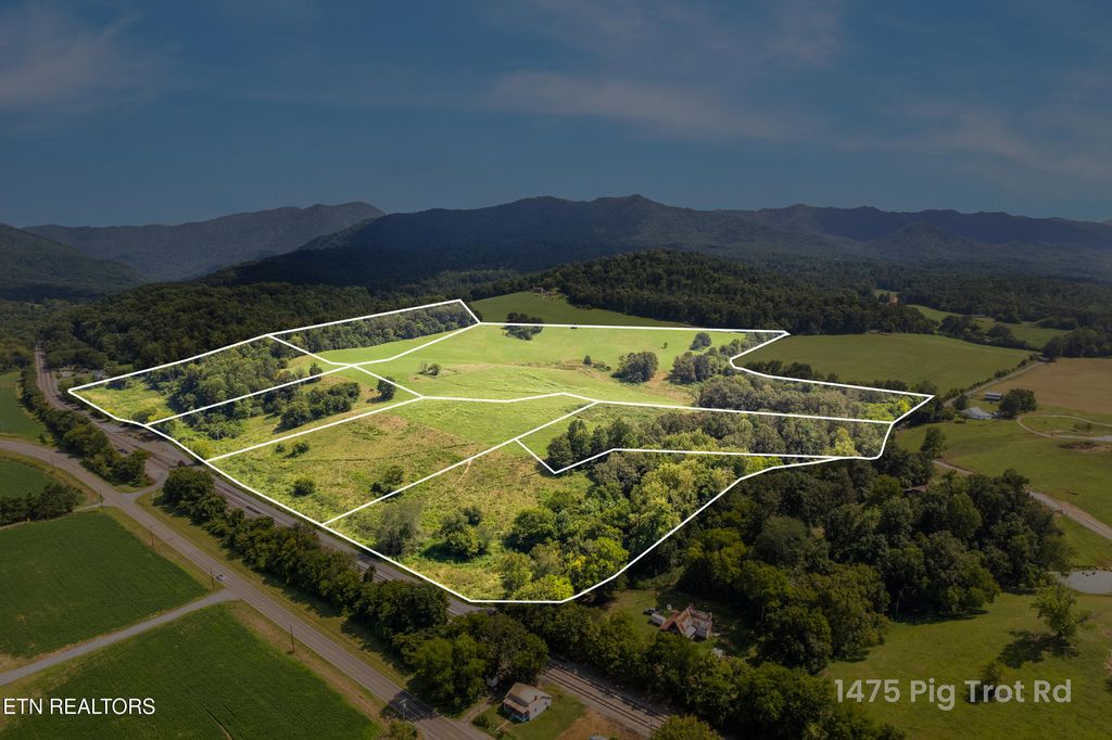 Photo of Lot 5 Pig Trot Rd, Newport, TN 37821 (MLS # 1312865)