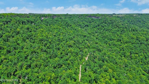Tiny photo for Junaluska Hwy, Jamestown, TN 38556 (MLS # 1340366)